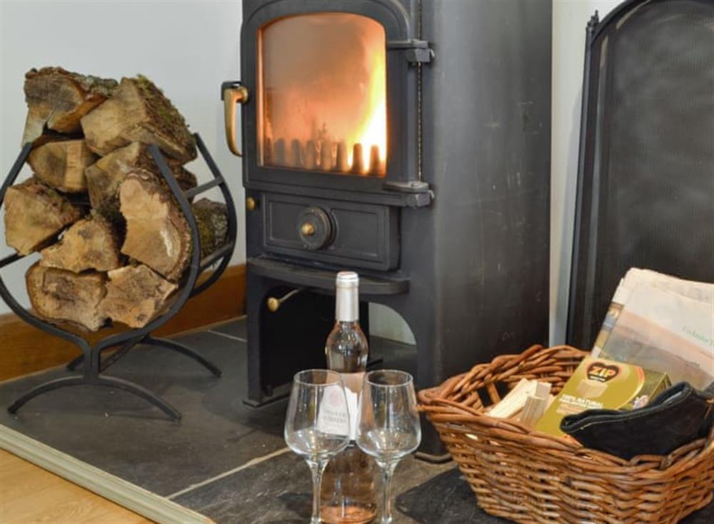 Warming wood burning fire within living area at Pipistrelle in Garth, near Builth Wells, Powys