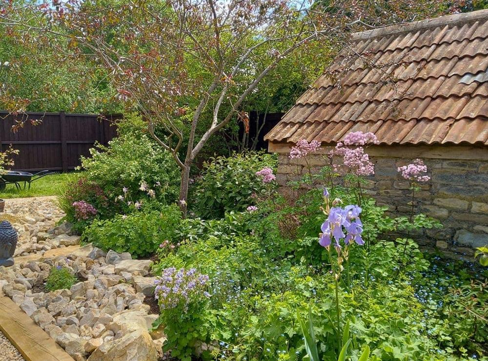 Garden (photo 2) at Pippin in Pilton, near Shepton Mallet, Somerset