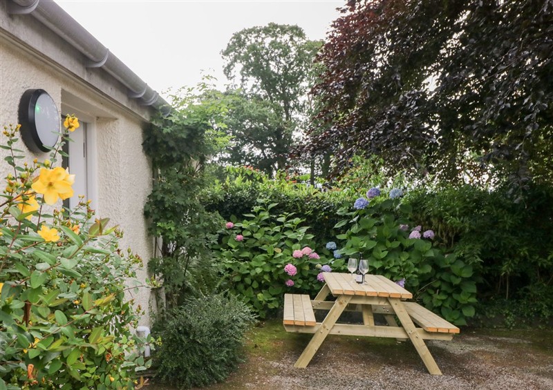The garden in Pippins at Pippins, Outgate near Hawkshead