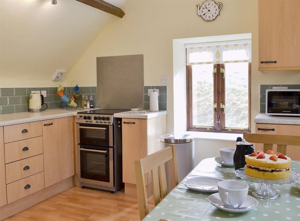 Delightful kitchen/ dining area at Pippins in Penybont, Powys
