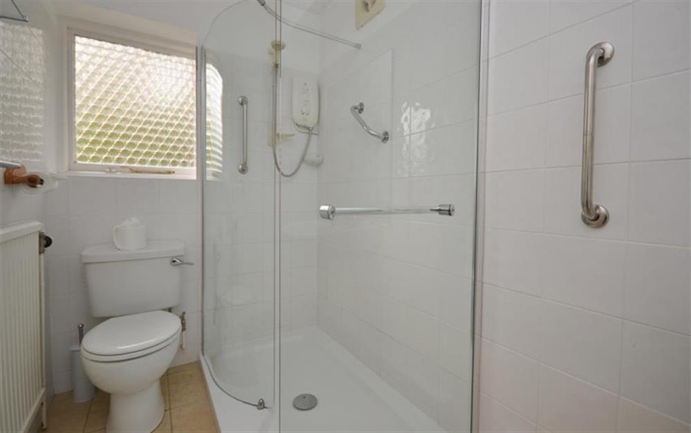 En suite shower room at Pittefaux Cottage in Brockenhurst