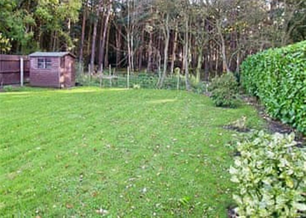 Garden at Pittendrigh Cottage in Briston, Nr Holt, Norfolk., Great Britain