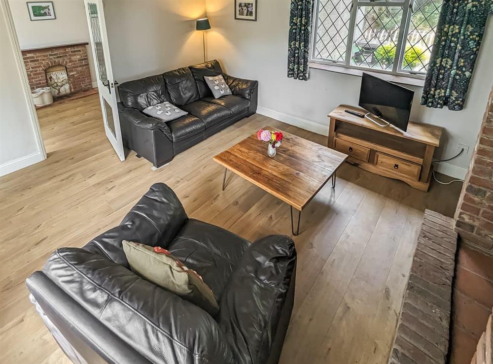 Living room at Pixies Wood Cottage in Ludham, Norfolk