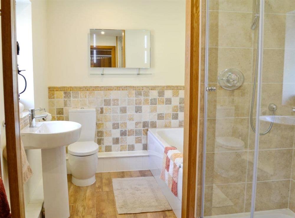 Bathroom at Plas Iwrwg Granary in Maenan, near Llanrwst, Gwynedd
