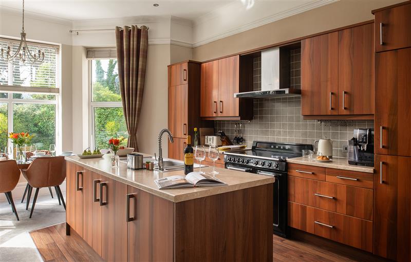 This is the kitchen at Plas Meirion Apartment 3, Llanrwst