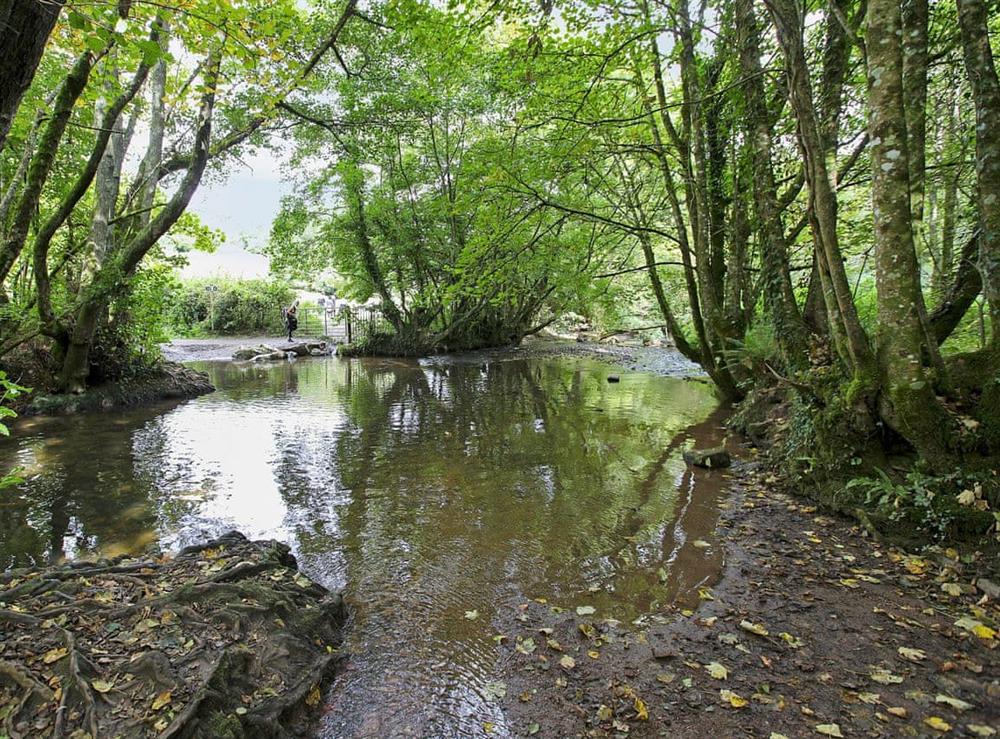 Scenic walks along the riverside at Pleasant Maris in East Ogwell, near Newton Abbot, Devon