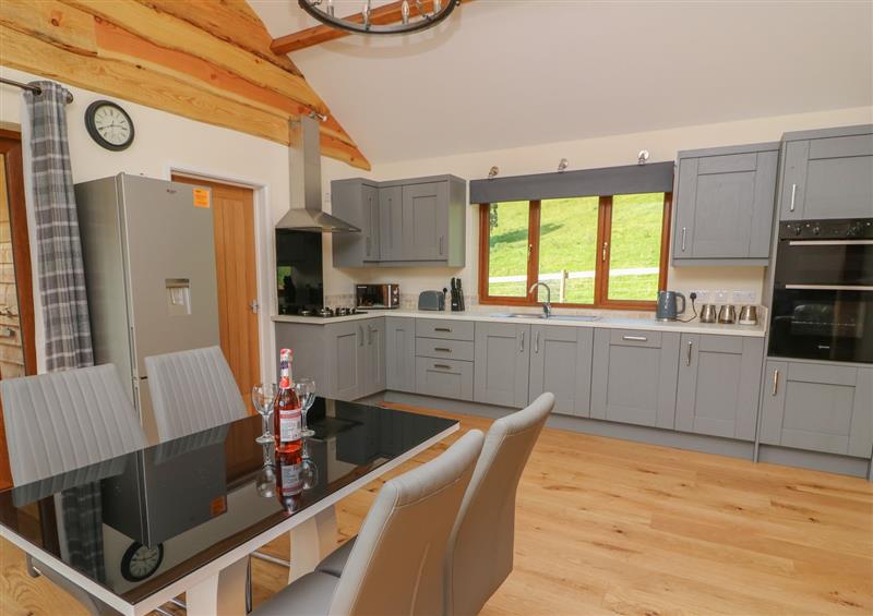 Kitchen (photo 2) at Ploony Hill Cabin, Bleddfa near Knighton