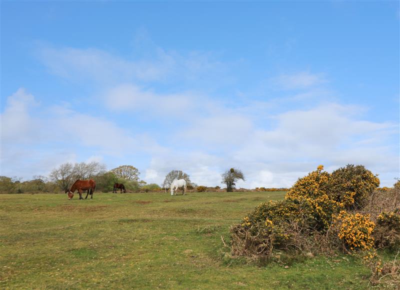 The area around Plummers Water