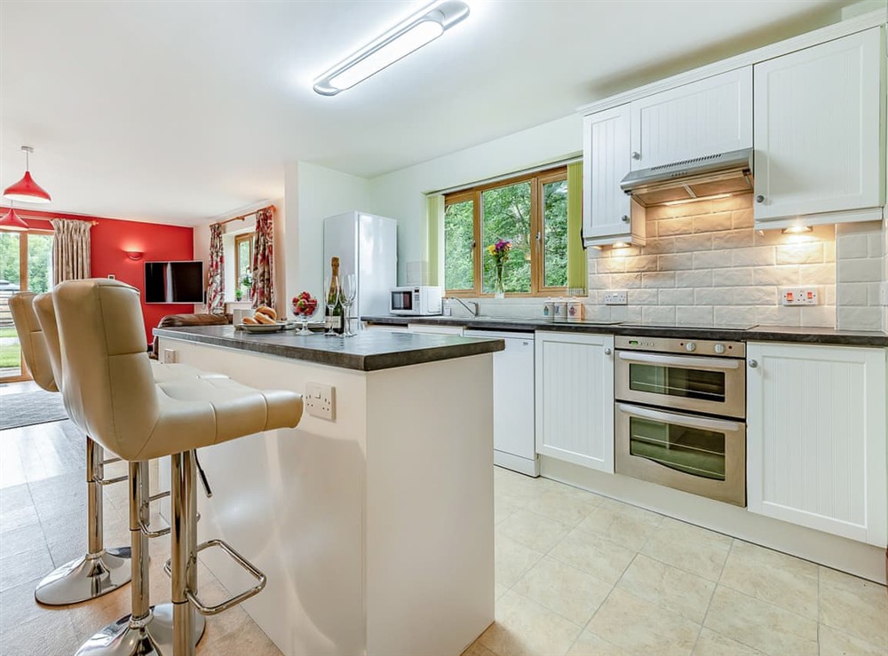 Kitchen at Plumtree in Blandford Forum, Dorset