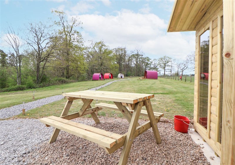 Enjoy the garden at Pod 4, St Asaph