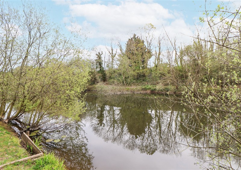 In the area at Pod 4, St Asaph