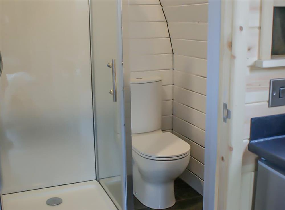 Shower room at Pod at Y Gadlas in Hirnant, Powys