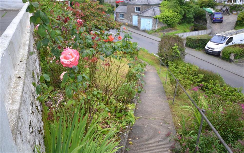 The front pathway at Pol Glen in Polperro