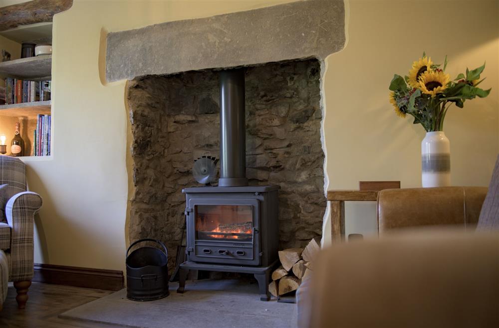 Sitting room with a multi-fuel stove at Pond Cottage, West Witton, Leyburn, North Yorkshire