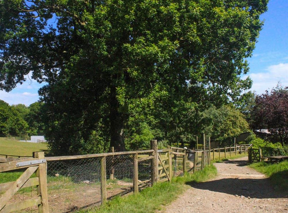 Surrounding area at Pond in Kings Nympton, near South Molton, Devon