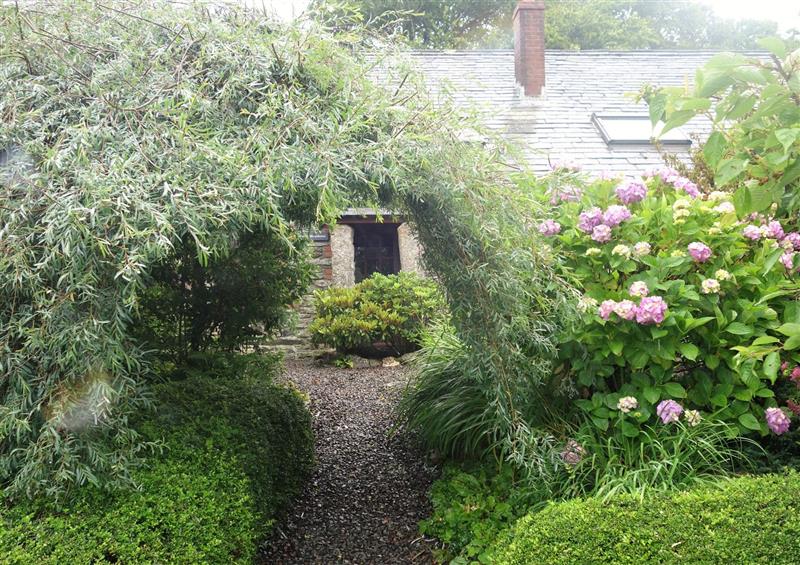 This is the garden at Pond Meadow, Warbstow near Launceston