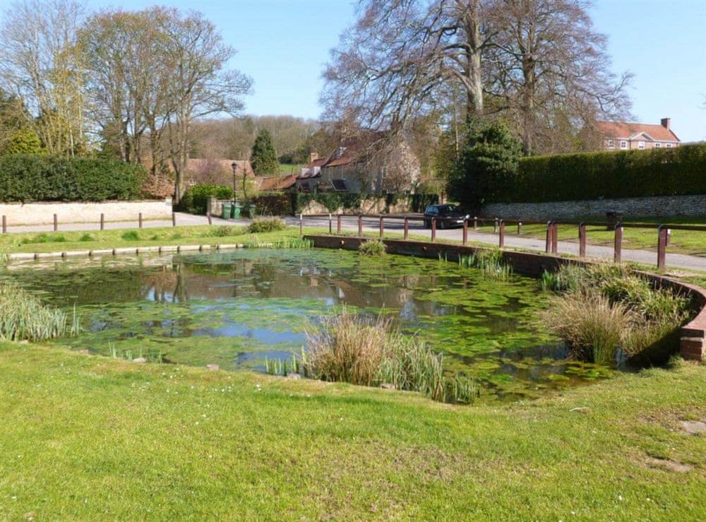 Duck pond just opposite the cottage at Pond View Cottage in Brantingham, near Brough, North Humberside