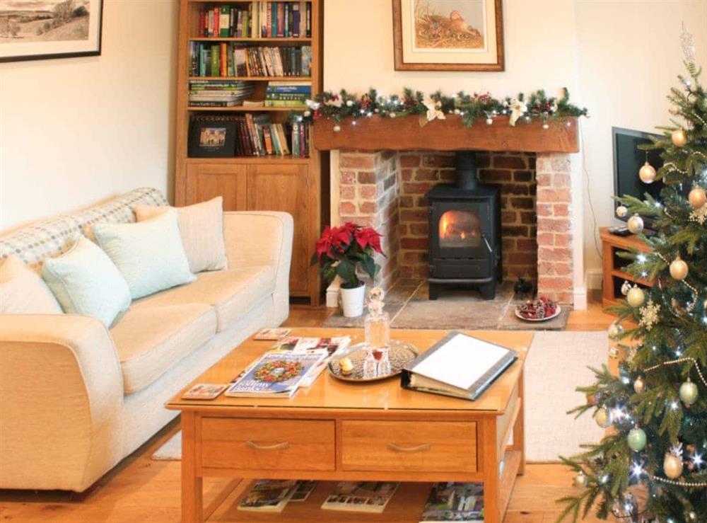 Luxuriously decorated for Christmas at Pond View Cottage in Brantingham, near Brough, North Humberside