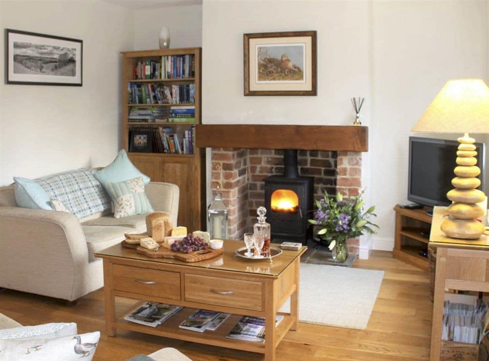 Spacious living room with real wood-burning stove at Pond View Cottage in Brantingham, near Brough, North Humberside