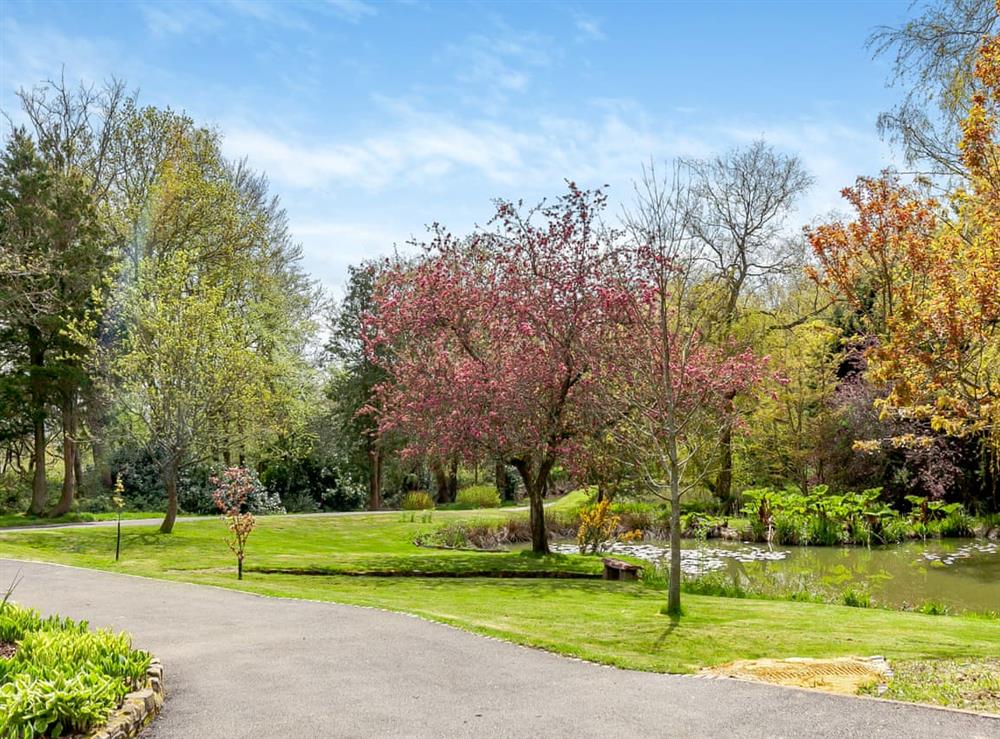 Surrounding area at Pond View in Heathfield, East Sussex