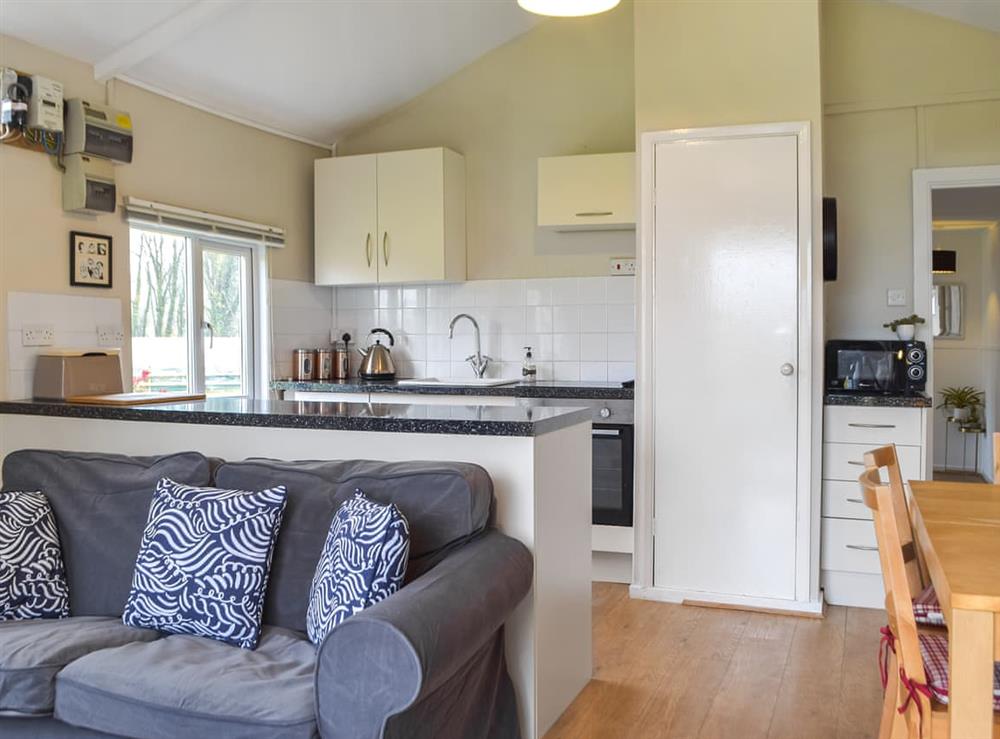 Open plan living space at Ponderosa in Llansteffan, Dyfed