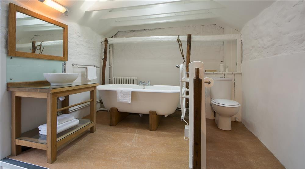 The bathroom at Pontbrenmydyr in Aberaeron, Ceredigion