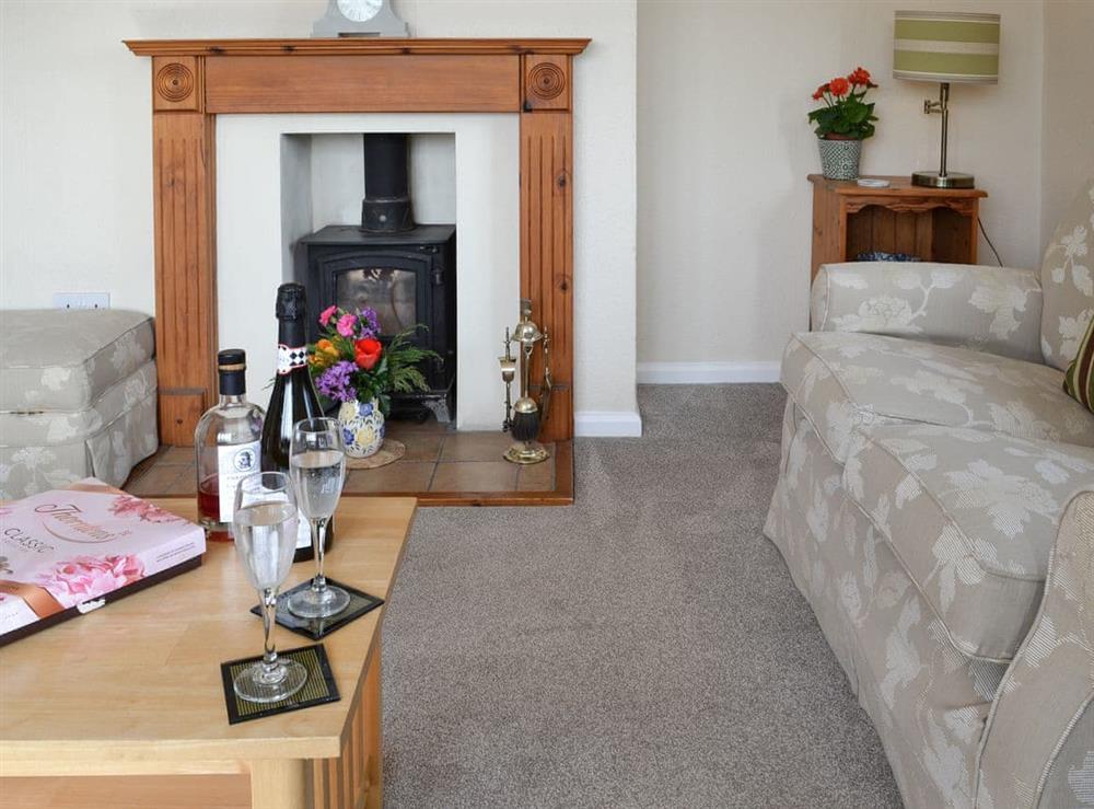 Cosy living room with wood burner at Poplar Bungalow in Lyng, near Norwich, Norfolk
