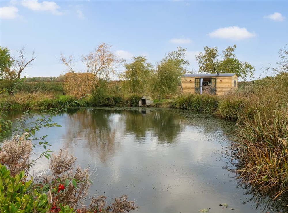 Surrounding area at Poppies Shepherd Hut in Nottingham, Leicestershire