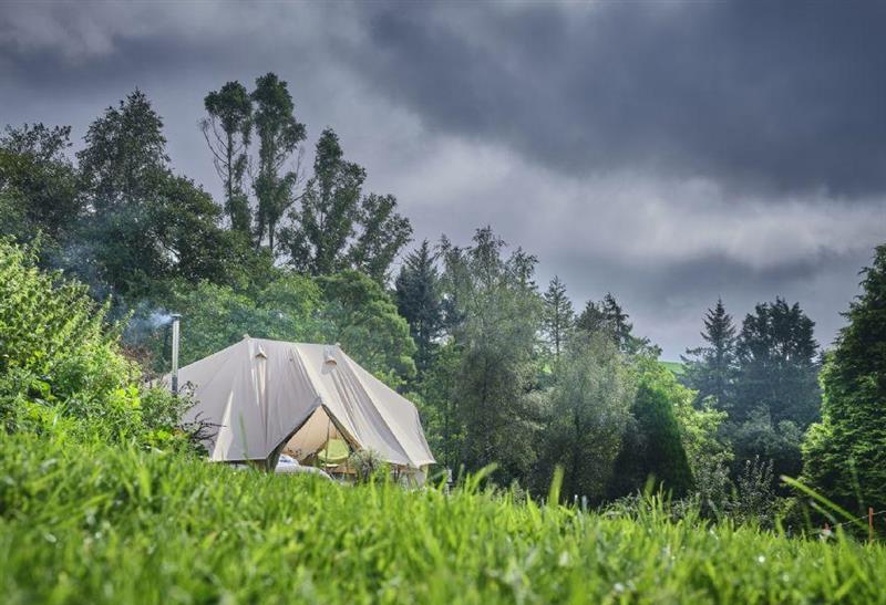 The area around Poppy Bell Tent space for 4