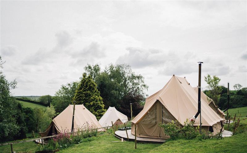 The garden at Poppy Bell Tent space for 4, West Anstey