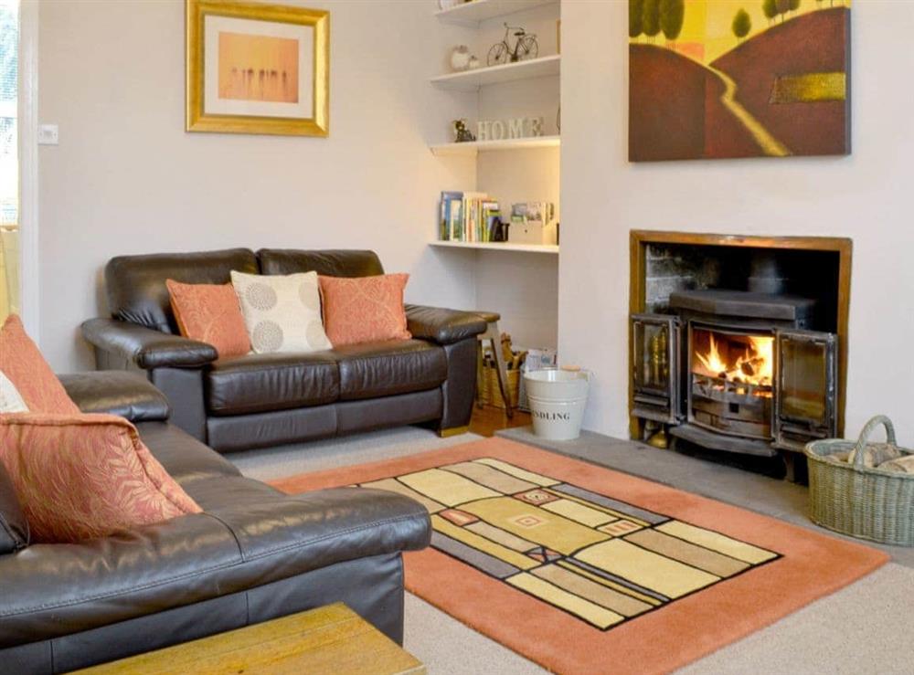Comfortable living room with a cosy wood burner at Poppy Cottage in Hebden, near Grassington, North Yorkshire