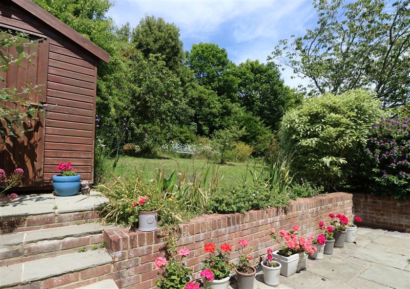 Enjoy the garden at Poppy Cottage, Ventnor