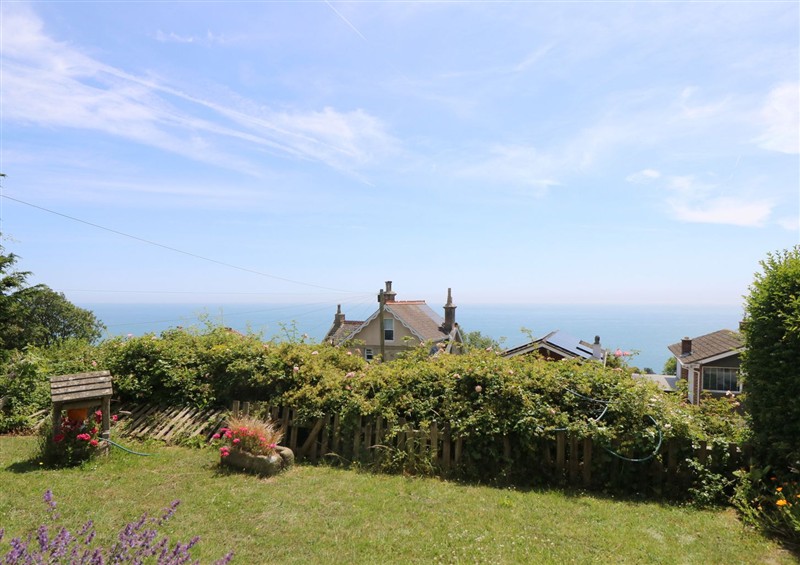 This is the garden at Poppy Cottage, Ventnor