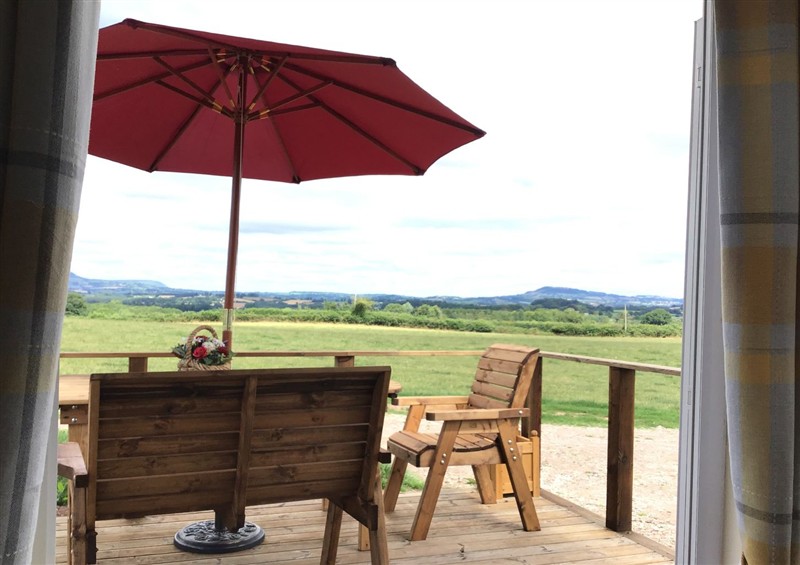 Enjoy a glass of wine on the patio at Poppy, Raglan