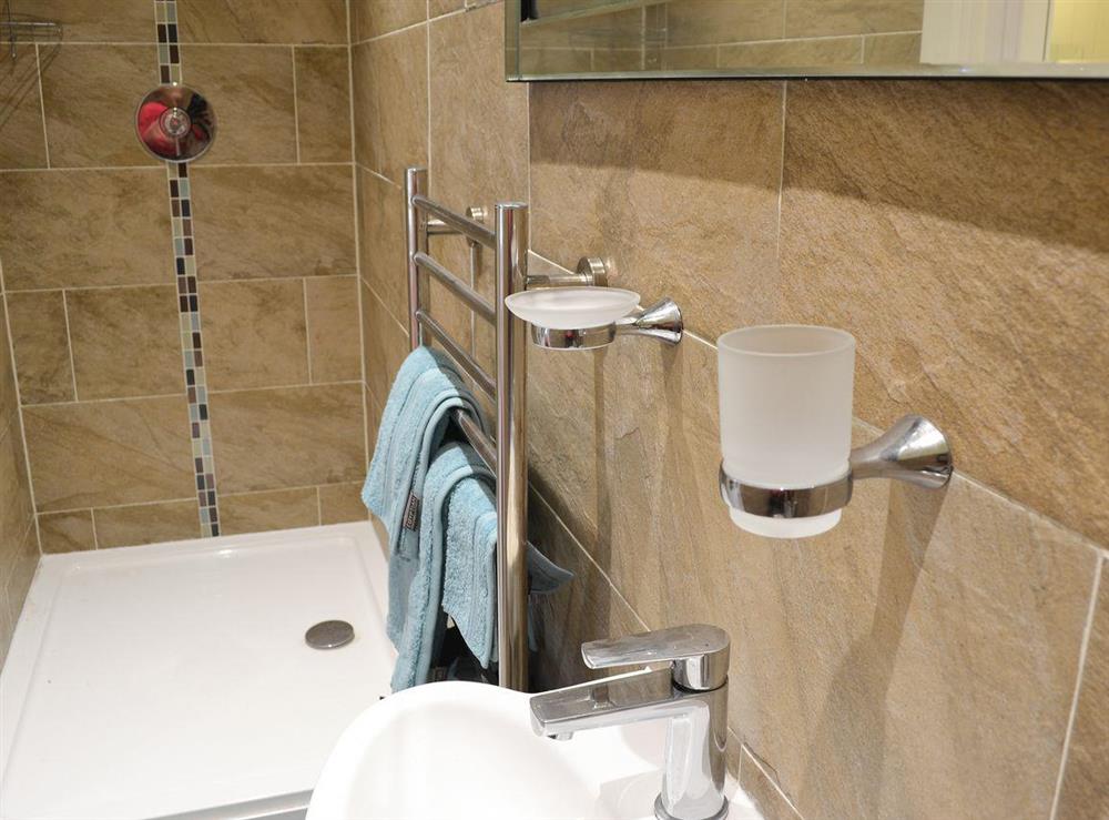Shower room with toilet at Poppyfields Stable in Scorrier, near St Day, Cornwall