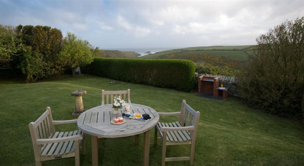 The garden at Porth Mear Cottage in Nr Padstow, Cornwall