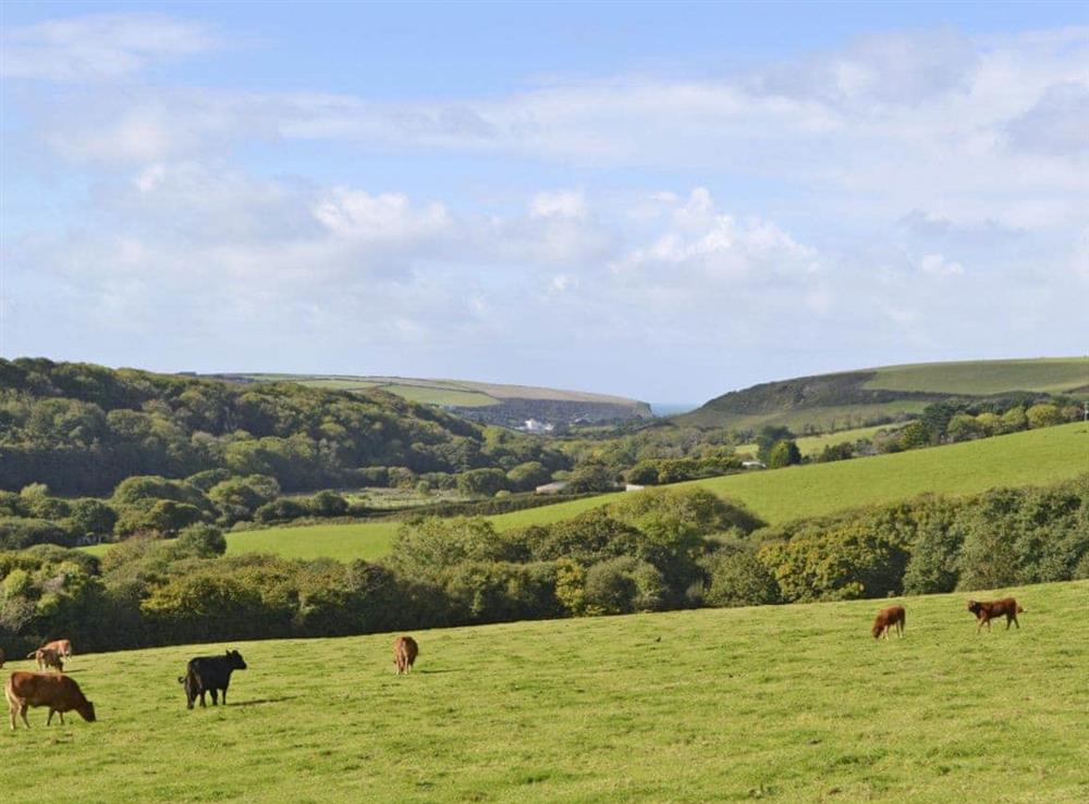 Stunning rural and coastal views at Porth View in St Mawgan, near Newquay, Cornwall