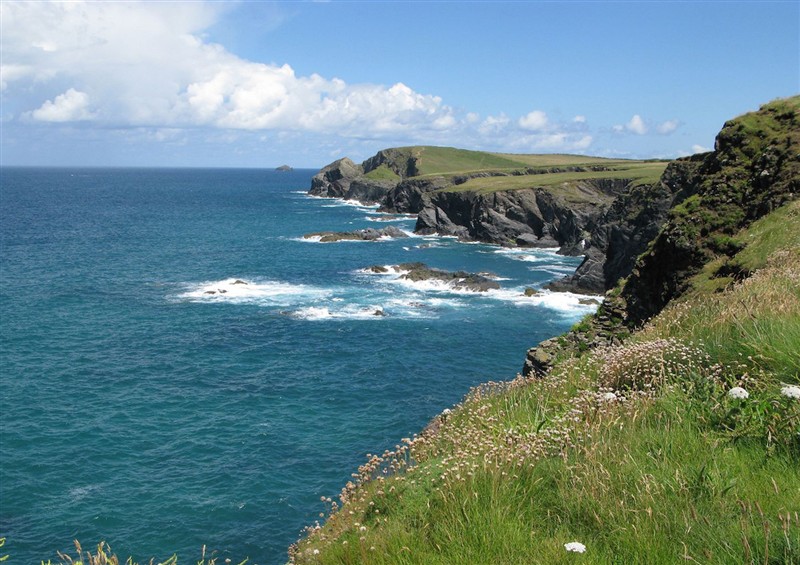 Rural landscape at Porthcothan House, Porthcothan