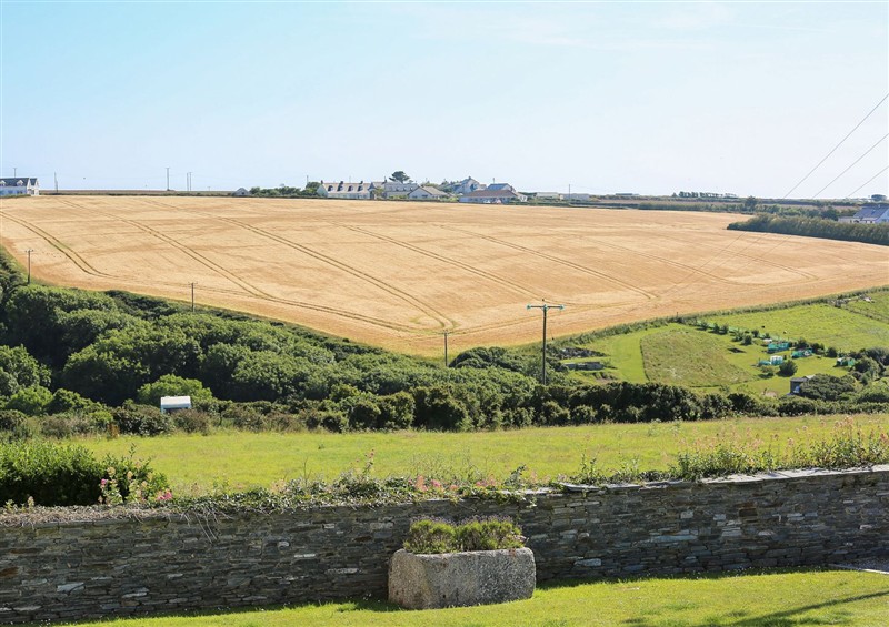 This is the garden at Porthcothan House, Porthcothan