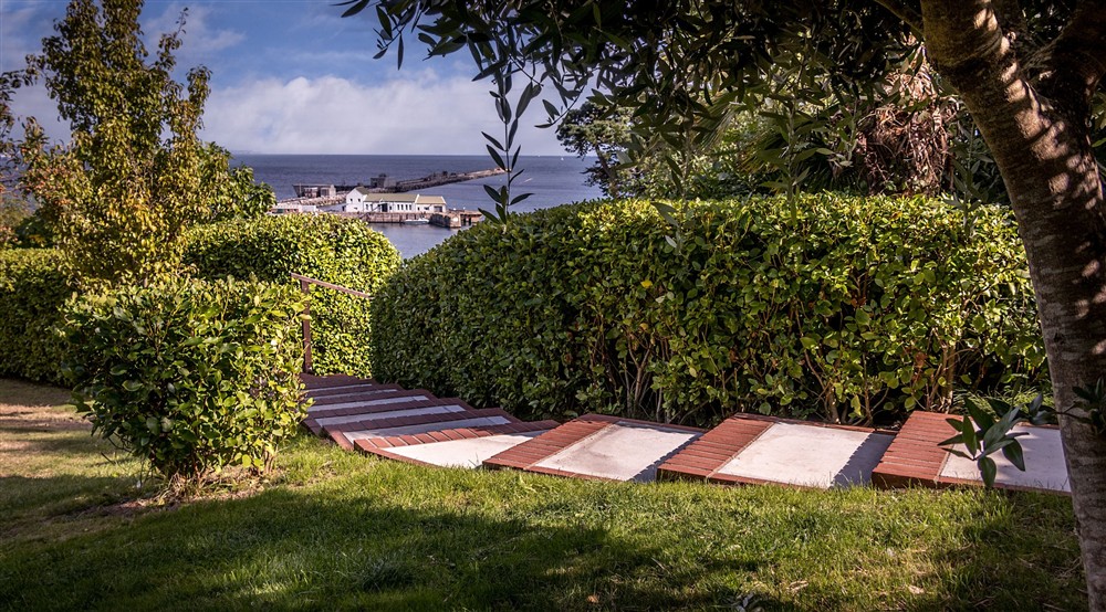 Part of the garden at Portland House in Weymouth, Dorset
