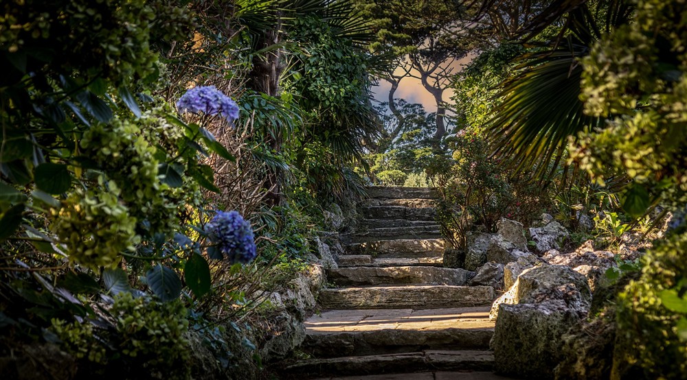 Stone steps through part of the garden at Portland House in Weymouth, Dorset