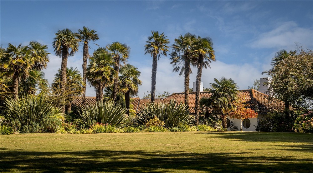 The lawn and palm trees in part of the gardens at Portland House in Weymouth, Dorset