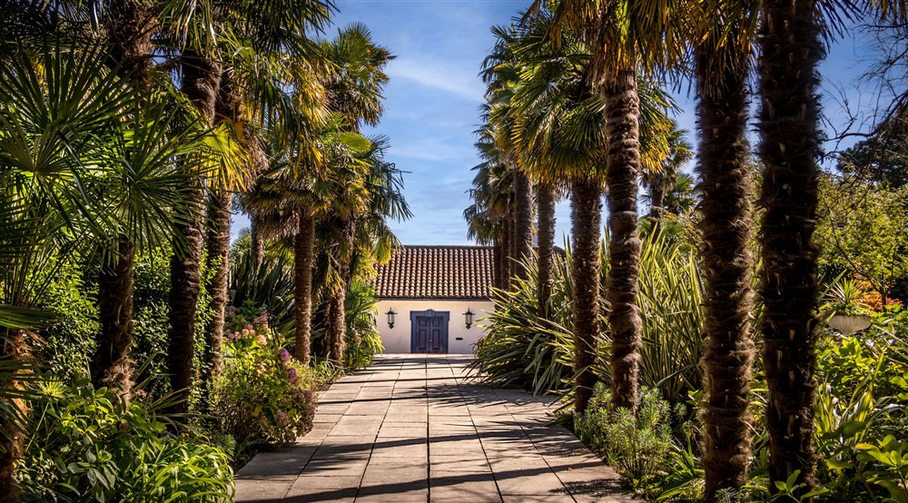 The path to the entrance door of Portland House, lined with palm trees, Dorset at Portland House in Weymouth, Dorset
