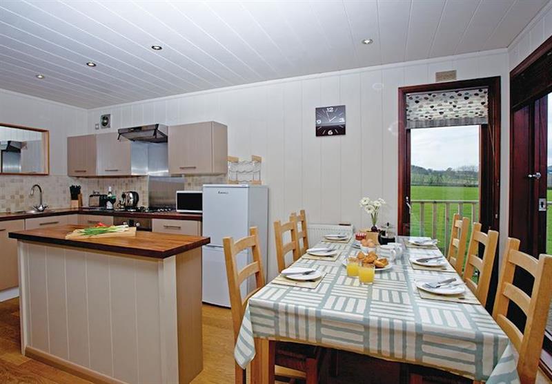 Kitchen and dining area in Silver Birch at Portmile Lodges in Devon, South West of England
