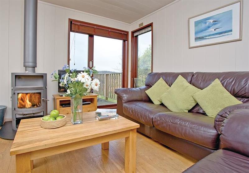 Living room with wood burning stove in Silver Birch at Portmile Lodges in Devon, South West of England