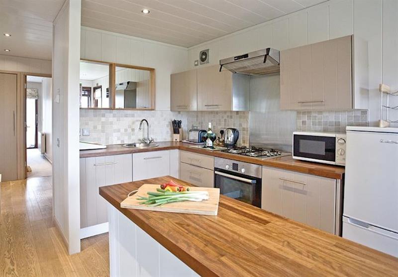 The kitchen in the Silver Birch at Portmile Lodges in Devon, South West of England