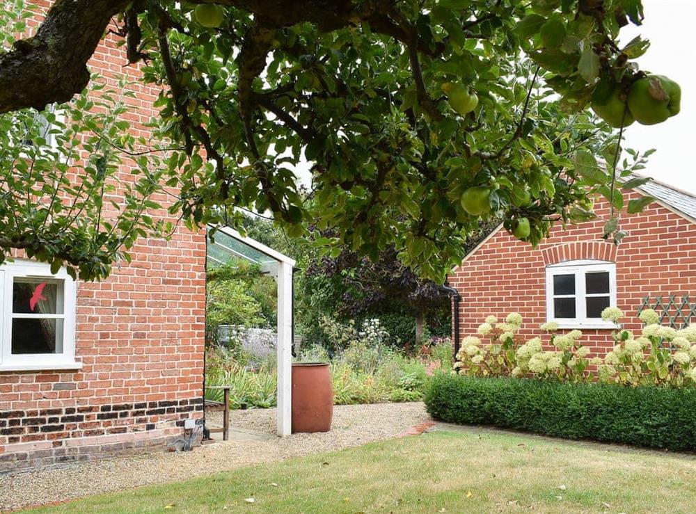 Garden at Potters Cottage in Little Blakenham, near Bramford, Suffolk