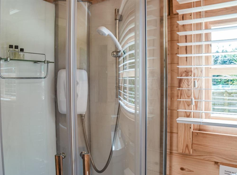 Shower room at Pottles Retreat in Surlingham, Norfolk
