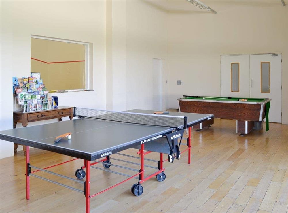 Recreation area with table tennis and pool table at Poulston House in Harbertonford, near Totnes, Devon
