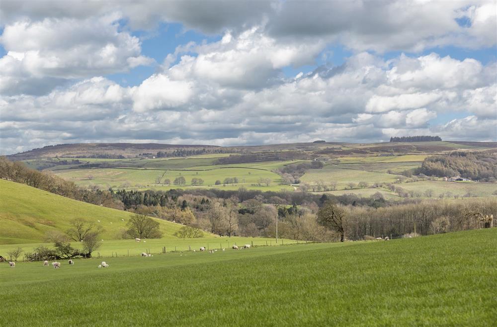 Views from Poverty Hill Barn